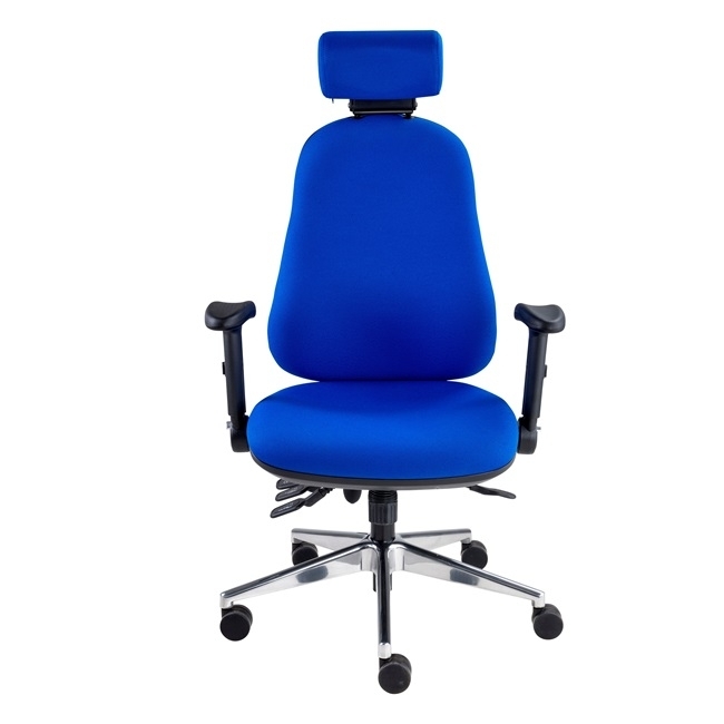 High Back Ergonomic Full Function Chair With Headrest And Multi