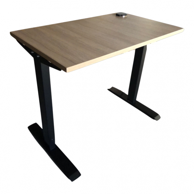 HOME OFFICE Electrically Adjustable SitStand Desk