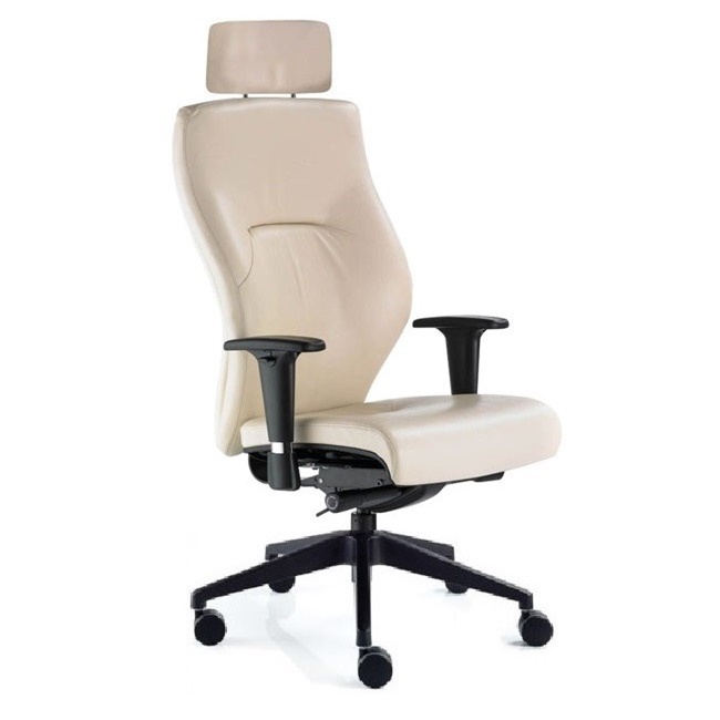 Executive High Back Chair with Headrest