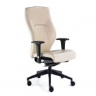 Executive high back chair with black base