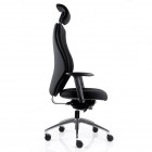 Extra high back ergonomic back care chair with headrest