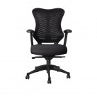 High Back Mesh Chair With Height Adjustable Arms