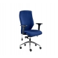 Extra high back ergonomic chair with polished aluminium base