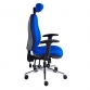 Ergonomic High Back Task chair with headrest, fully adjustable arms and polished base 