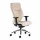 Executive high back chair with polished aluminium base