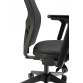 High Back Mesh Chair with Synchro Mechanism and Adjustable Arms 